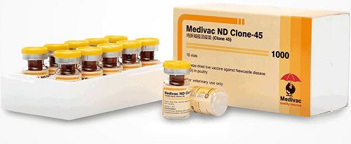 vaccine-Medivac-Clone 45