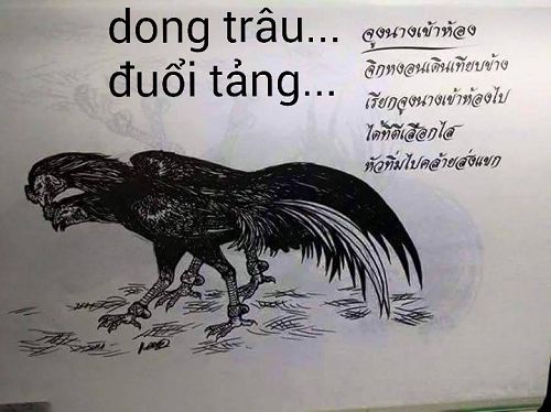 Dong Trâu Đuổi Tảng