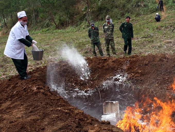 Tiêu hủy, khử trùng