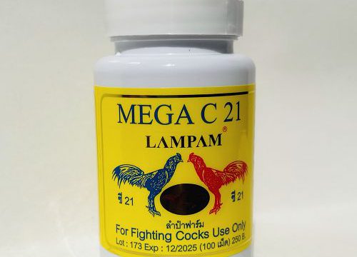 Mega C21