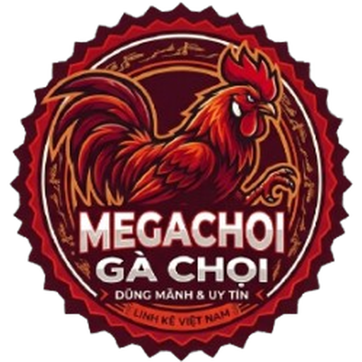 megachoi.com
