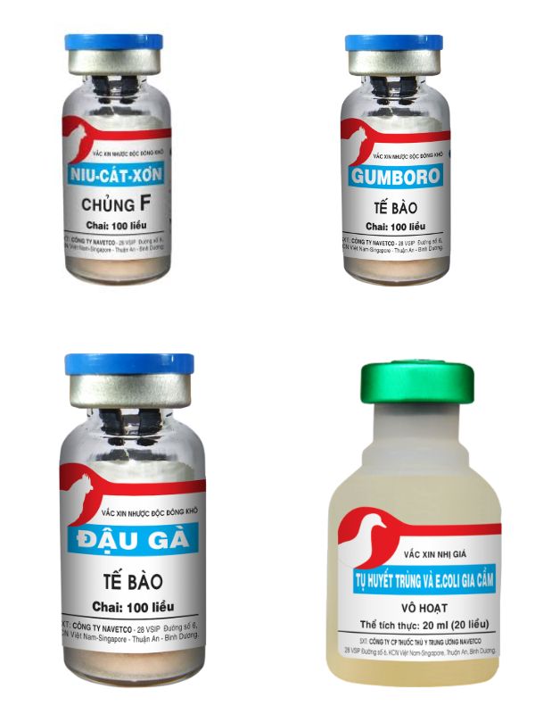Chi tiết một số vaccine quan trọng cho gà chọi