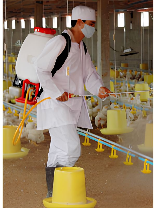 Chuẩn bị dụng cụ và dung dịch khử trùng chuồng gà