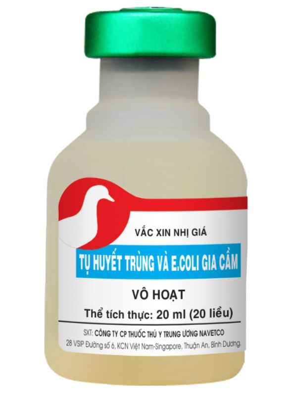 Cúm gia cầm và tụ huyết trùng