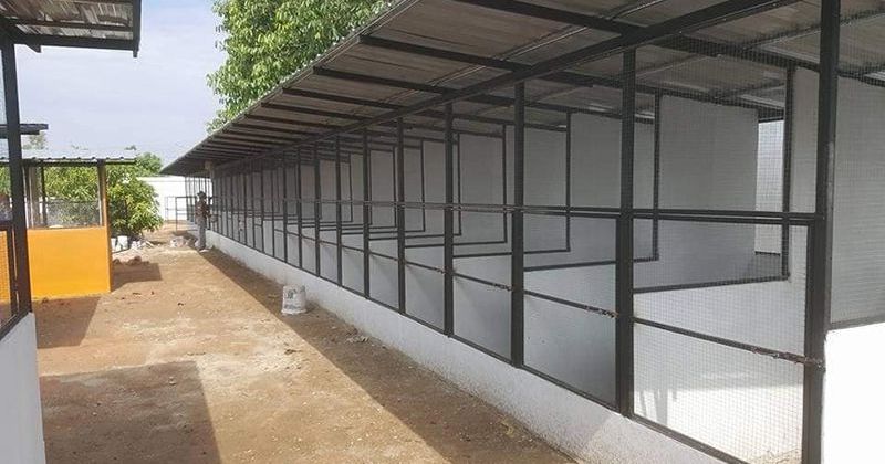 Hướng dẫn làm chuồng gà chọi đúng kỹ thuật