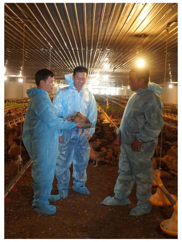 Quy trình tổng vệ sinh, khử trùng chuồng trại từ A–Z